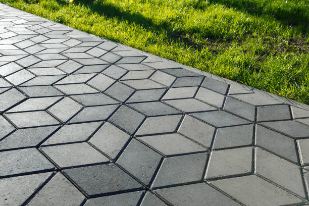 Best Driveway Paving Contractor  in Earlvle, IL
